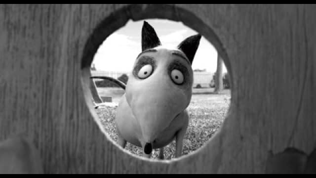 フランケンウィニー