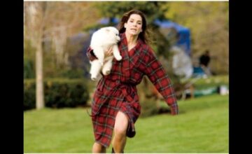 あなたは私のムコになる