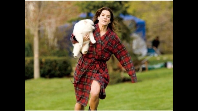 あなたは私のムコになる