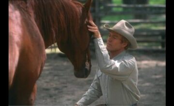 モンタナの風に抱かれて