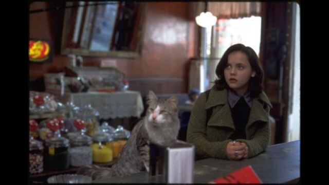 誘拐騒動/ニャンタッチャブル