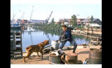 ターナー＆フーチ すてきな相棒