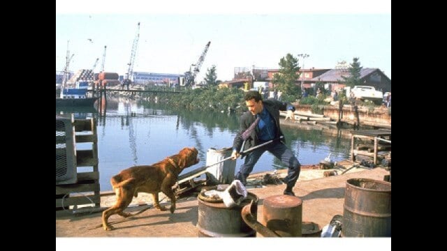 ターナー＆フーチ すてきな相棒