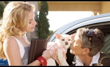 ビバリーヒルズ・チワワ