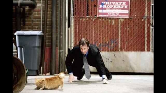 シャギー・ドッグ