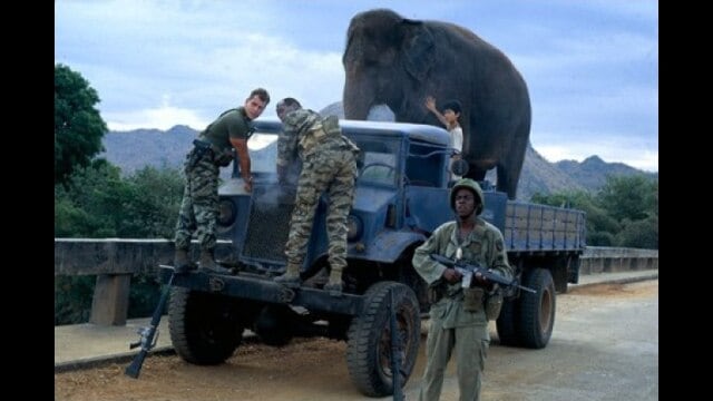 ダンボドロップ大作戦