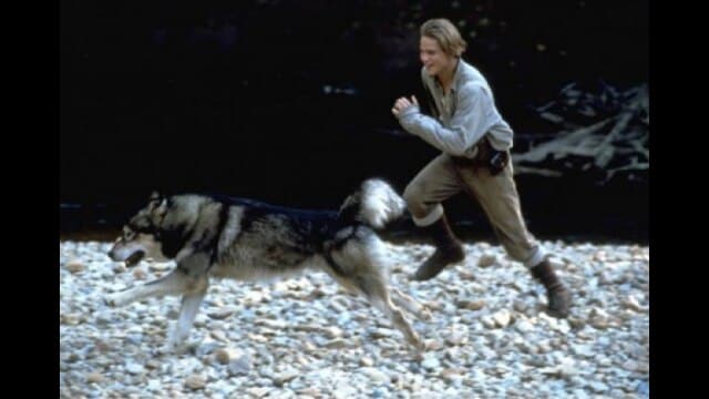 ホワイトファング2/伝説の白い牙