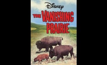 滅びゆく大草原