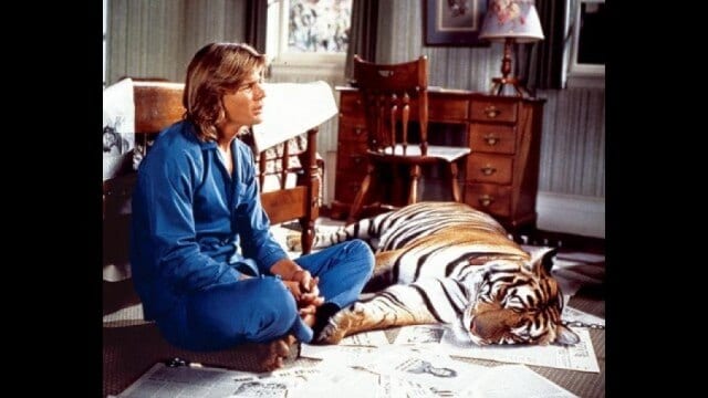 史上最大のスーパー・チャンピオン