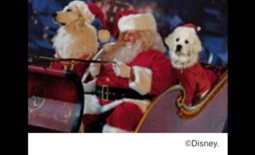 サンタ・バディーズ/小さな5匹の大冒険