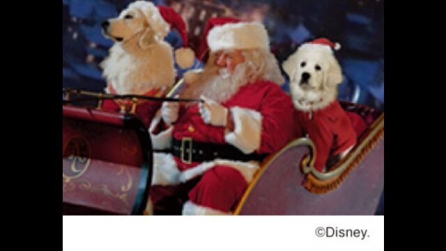 サンタ・バディーズ/小さな5匹の大冒険