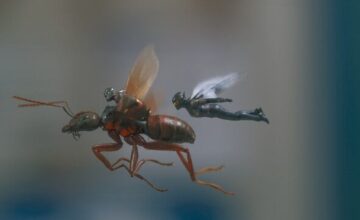 アントマン＆ワスプ