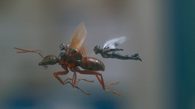 アントマン＆ワスプ