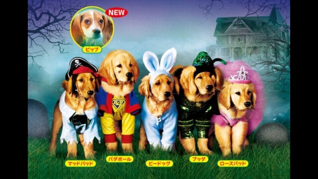 ゴースト・バディーズ/小さな5匹の大冒険