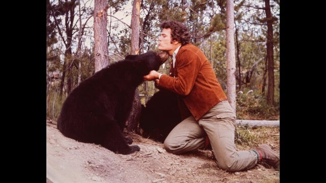 遥かなる子熊の森
