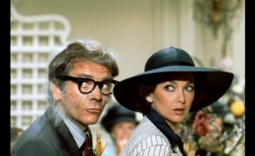 新・ぼくはむく犬