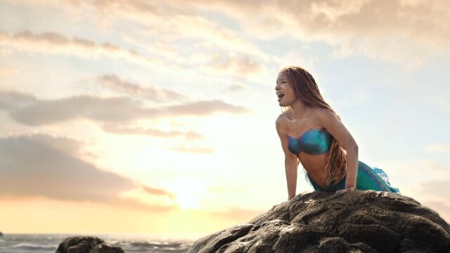 リトル・マーメイド