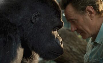 ゴリラのアイヴァン