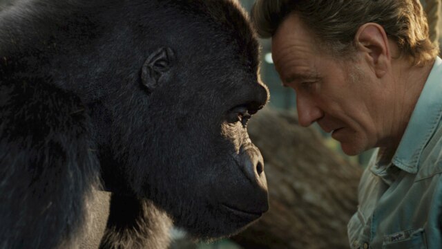 ゴリラのアイヴァン