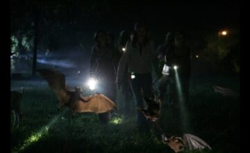 ヴァンパイア・バット 死蝙蝠の町