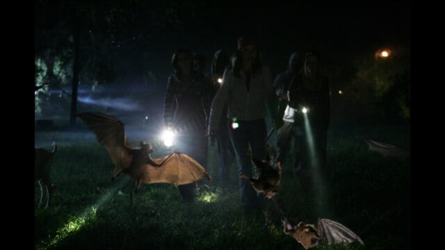 ヴァンパイア・バット 死蝙蝠の町